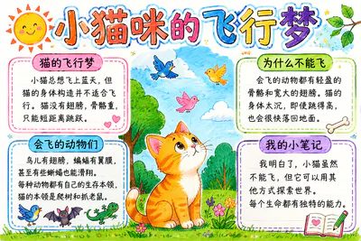 小猫咪的飞行梦彩绘