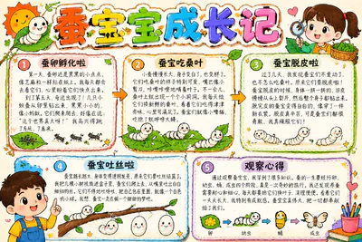 蚕宝宝成长记彩绘