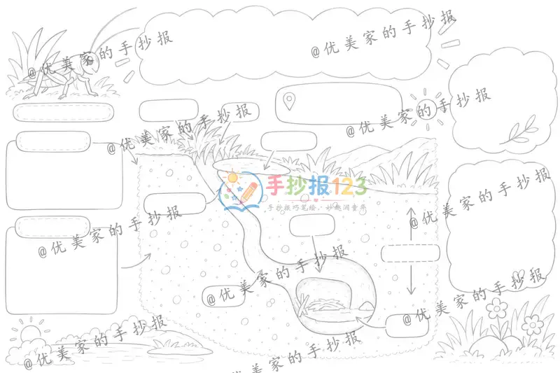 line preview